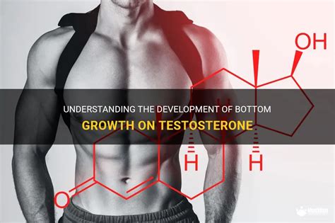 bottom growth trans|Understanding The Timelines Of Bottom Growth On Testosterone